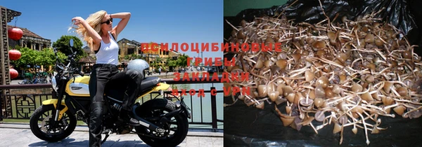 не бодяженный Елабуга