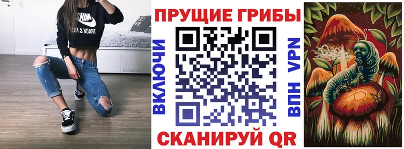 Псилоцибиновые грибы MAGIC MUSHROOMS  площадка какой сайт  Бокситогорск  мега  